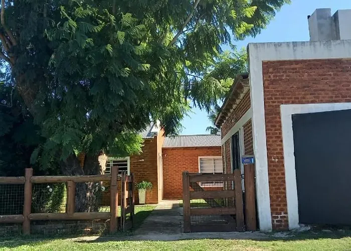 Eljacaranda_