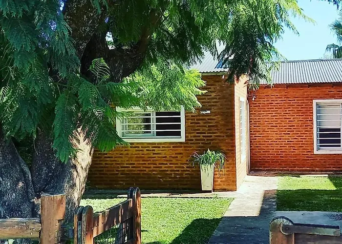 Eljacaranda_